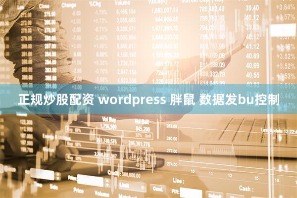 正规炒股配资 wordpress 胖鼠 数据发bu控制